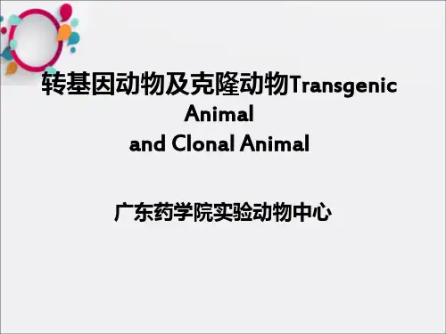 转基因动物及克隆动物