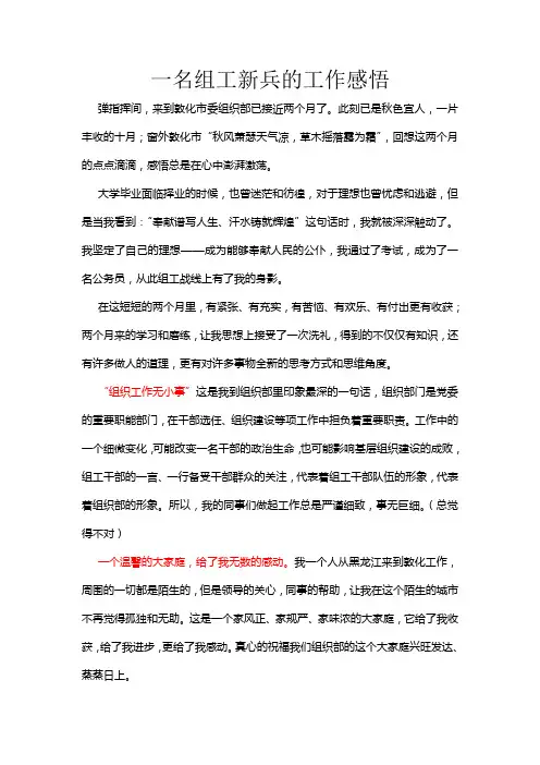 一名组工新兵的工作感悟