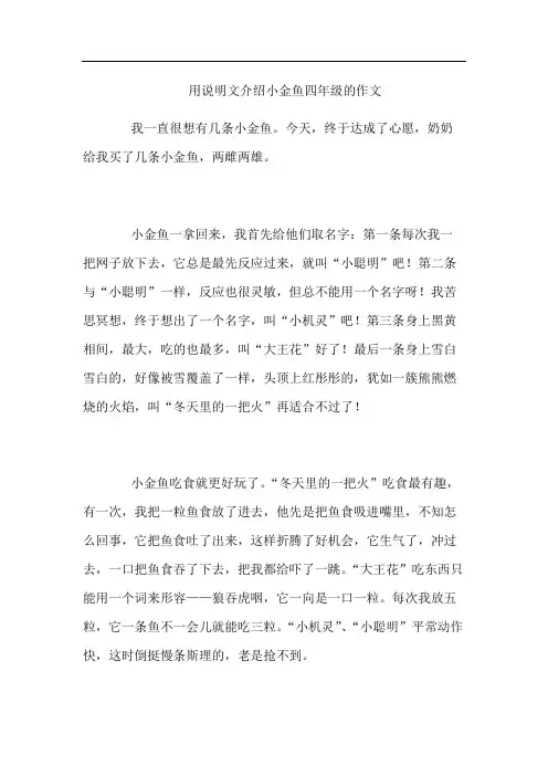 用说明文介绍小金鱼四年级的作文