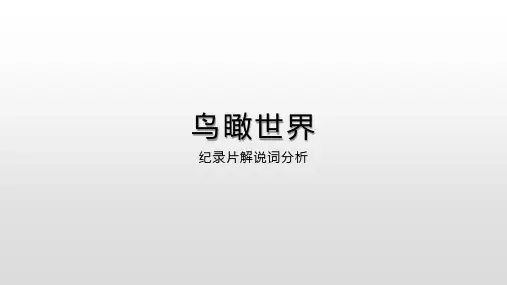 《鸟瞰世界》纪录片解说词分析