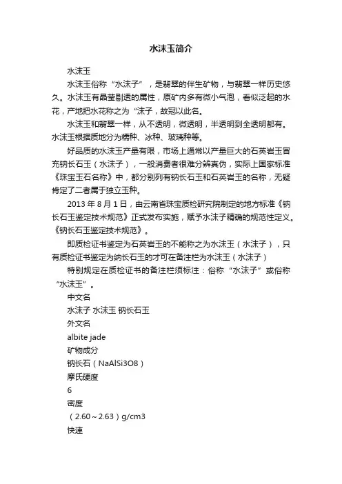 水沫玉简介