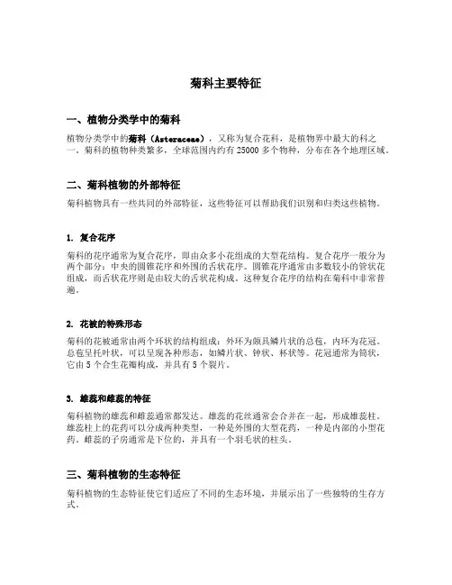 简述菊科主要特征