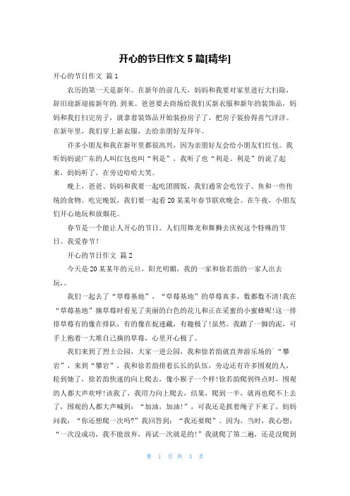 开心的节日作文5篇[精华]
