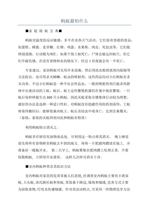 蚂蚁最怕什么