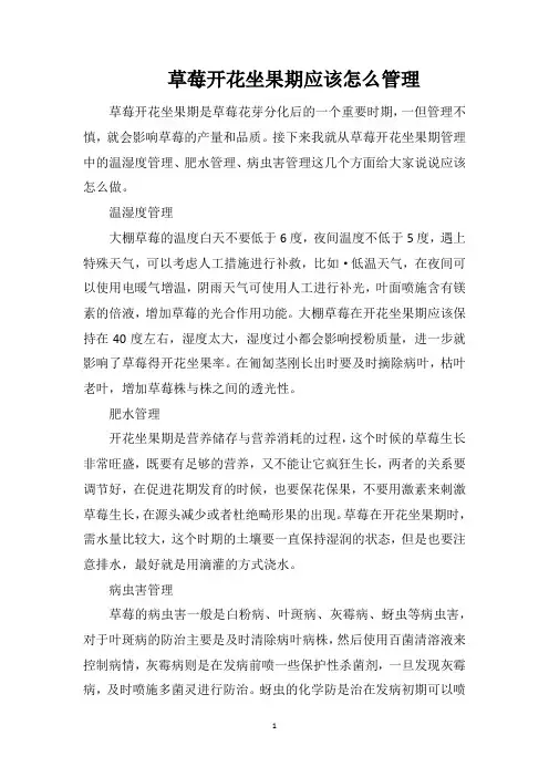 草莓开花坐果期应该怎么管理