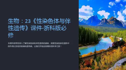生物：23《性染色体与伴性遗传》课件-浙科版必修