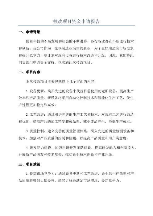 技改项目资金申请报告