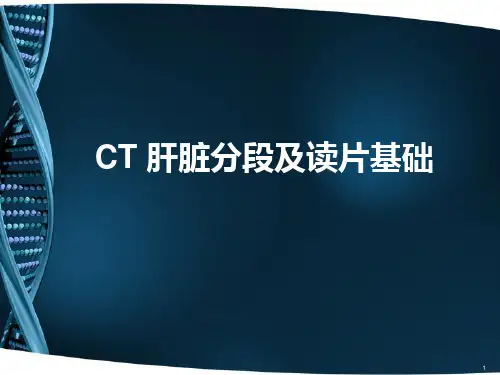 CT肝脏分段及读片ppt课件
