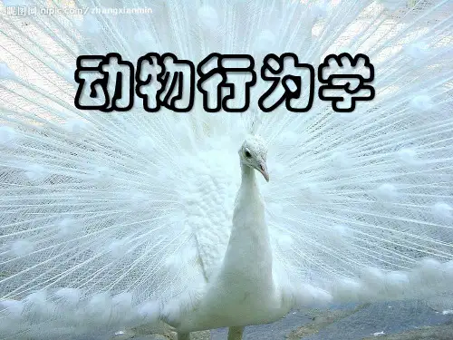 生物奥赛《动物行为学》的辅导课件