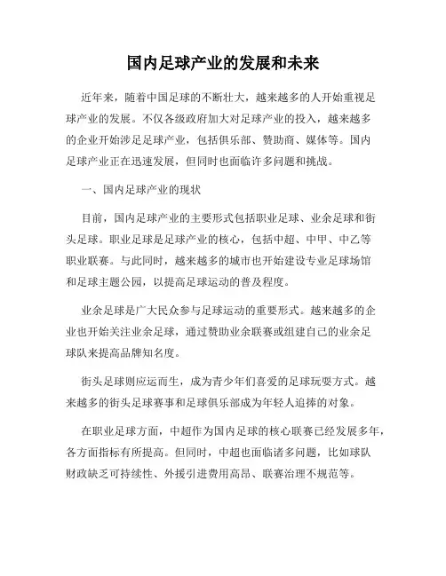 国内足球产业的发展和未来