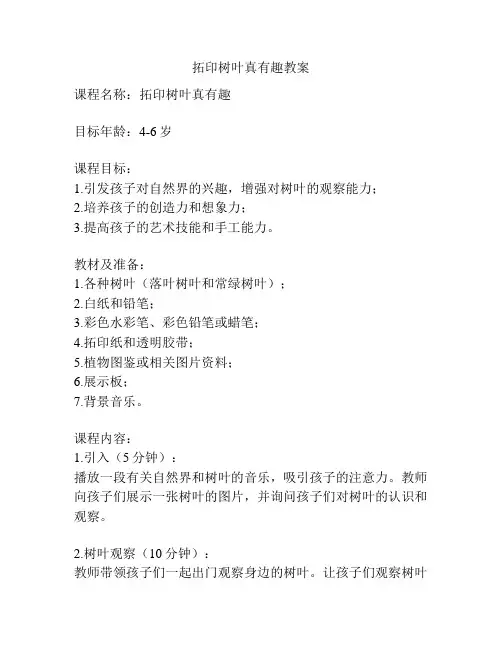 拓印树叶真有趣教案