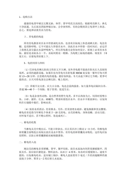养龟常识