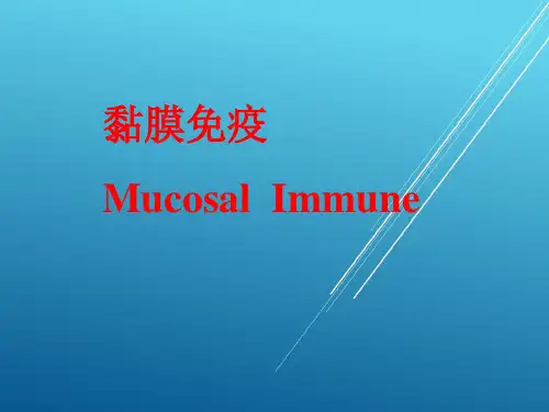 黏膜免疫 研究生 ——【现代免疫学基础及进展】