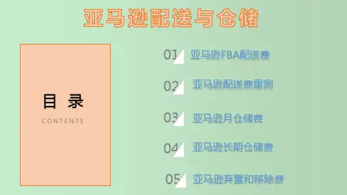 亚马逊配送与仓储解析 教学PPT课件
