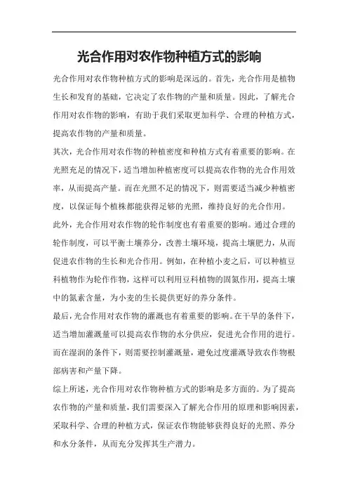 光合作用对农作物种植方式的影响