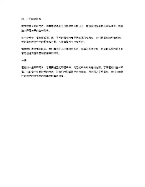 植物的一生教案：了解植物生长的不同阶段