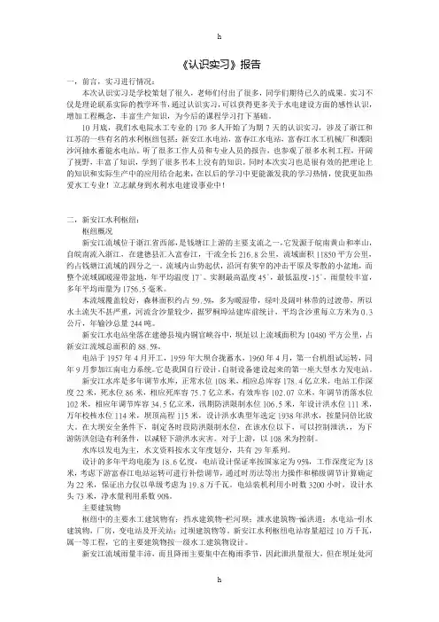 《水工实习报告》word版