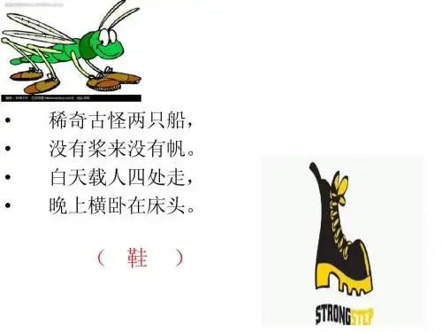 13鞋ppt
