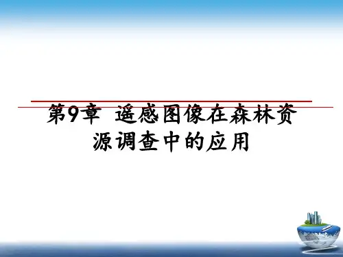 最新第9章 遥感图像在森林资源调查中的应用ppt课件