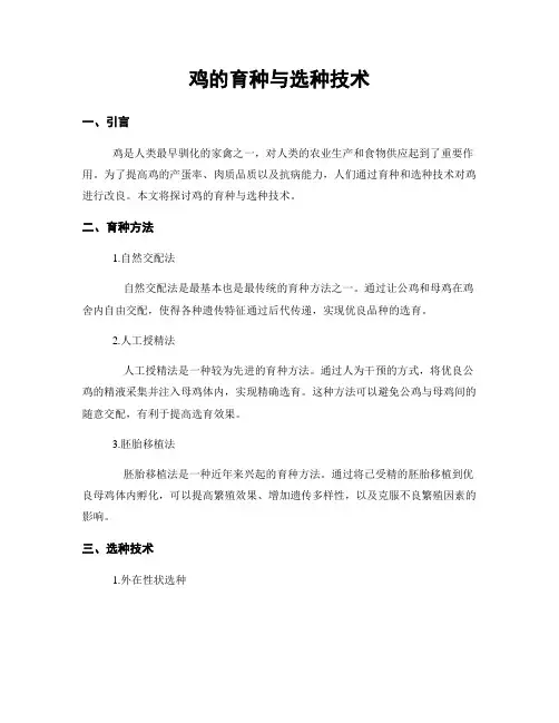 鸡的育种与选种技术