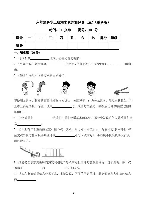 六年级科学上册期末素养测评卷(三)(教科版)含答案