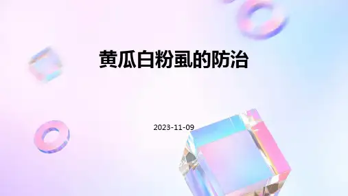 黄瓜白粉虱的防治