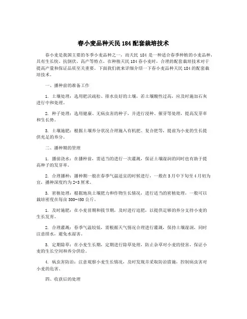 春小麦品种天民184配套栽培技术