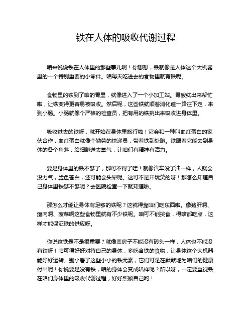 铁在人体的吸收代谢过程