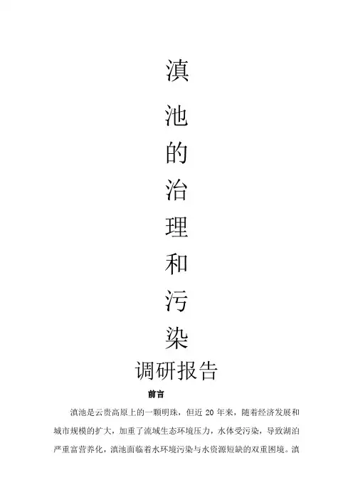 滇池污染治理调查报告