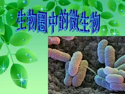 生物八年级人教版 第五单元 生物圈中的其他生物 第五章 病毒(共42张PPT)