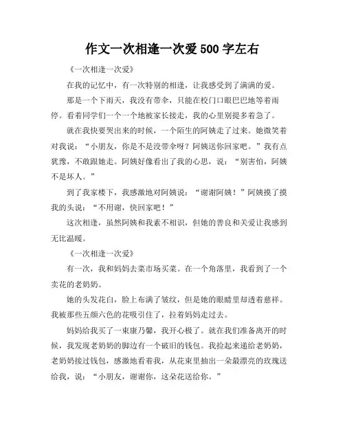 作文一次相逢一次爱500字左右