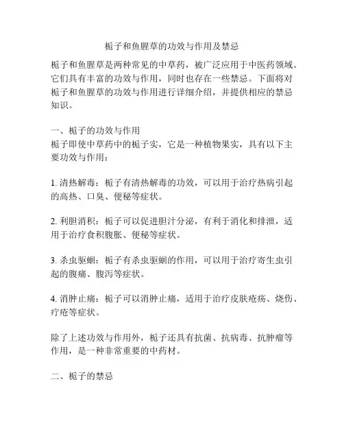 栀子和鱼腥草的功效与作用及禁忌
