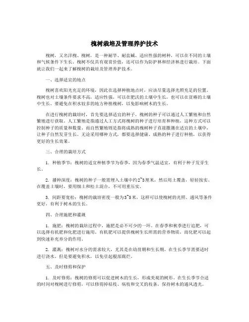 槐树栽培及管理养护技术