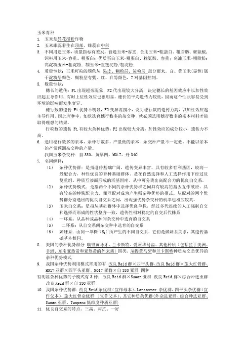 玉米育种