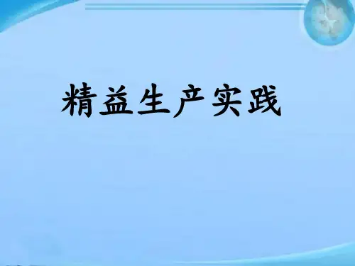 精益生产实践  ppt课件