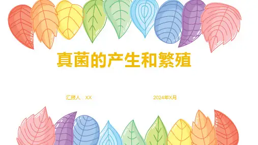 真菌的产生和繁殖