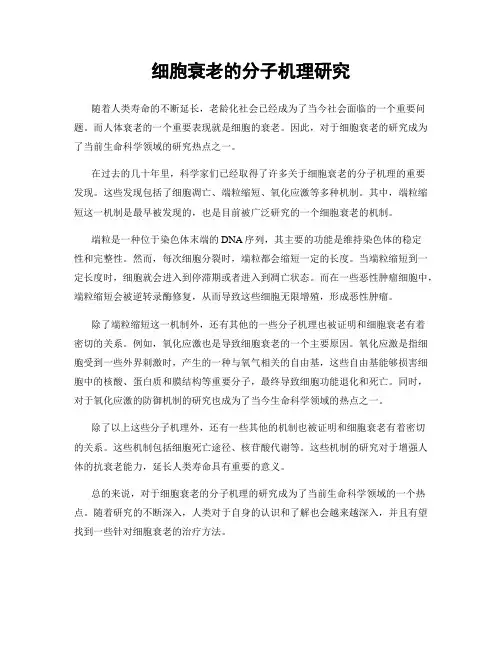 细胞衰老的分子机理研究