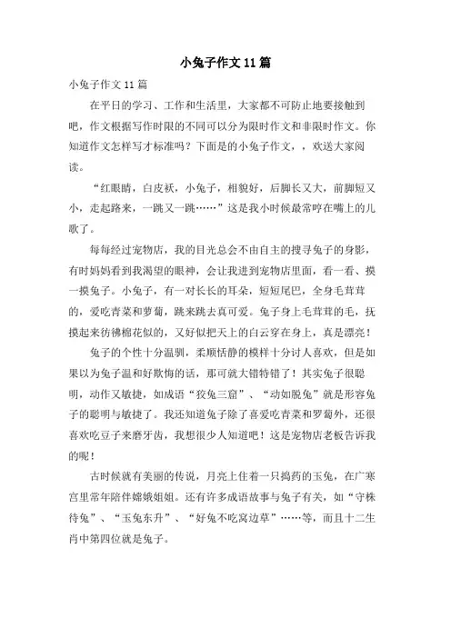 小兔子作文11篇