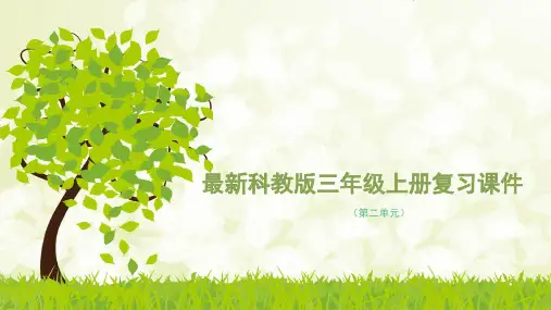 最新科教版三年级上册复习课件(第二单元)