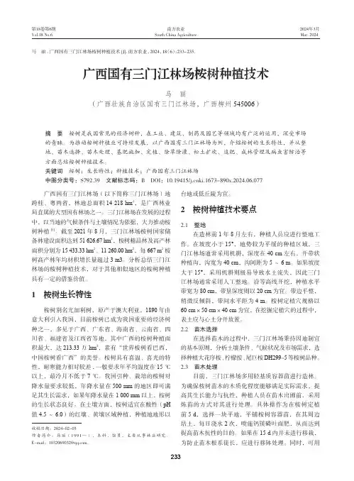 广西国有三门江林场桉树种植技术