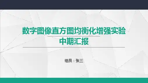 数字图像直方图统计报告