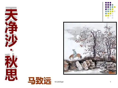 中考语文《天净沙·秋思》复习完整ppt课件