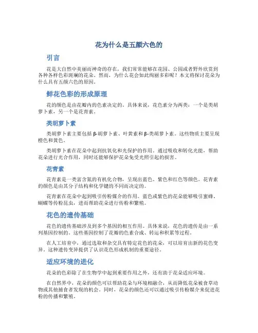 花为什么是五颜六色的