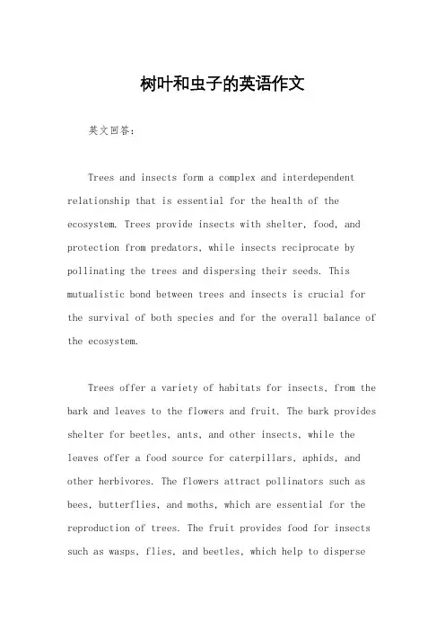 树叶和虫子的英语作文