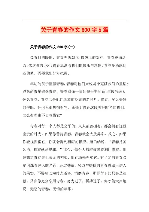 关于青春的作文600字5篇