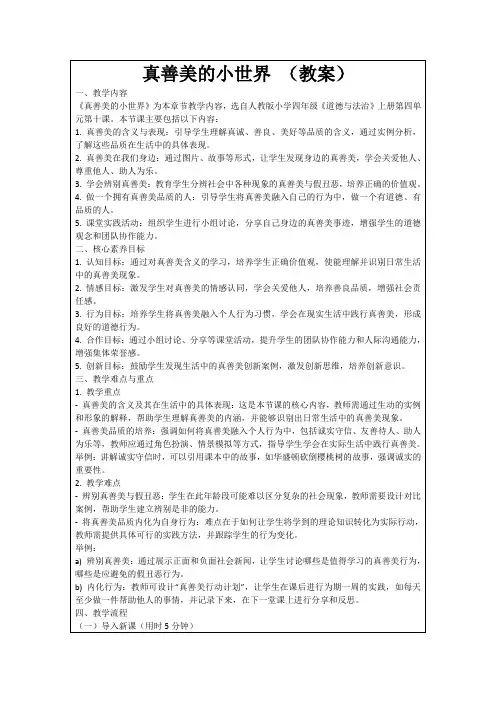 真善美的小世界(教案)