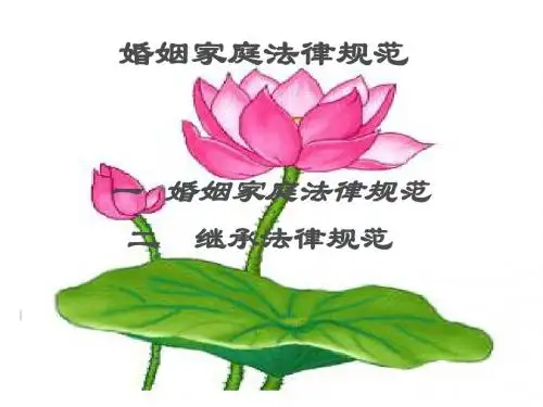 新婚姻家庭法课件.ppt