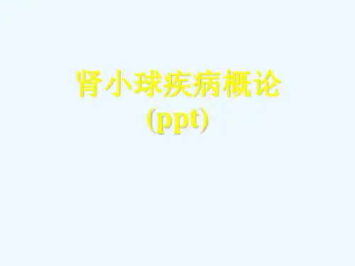 肾小球疾病概论(ppt)