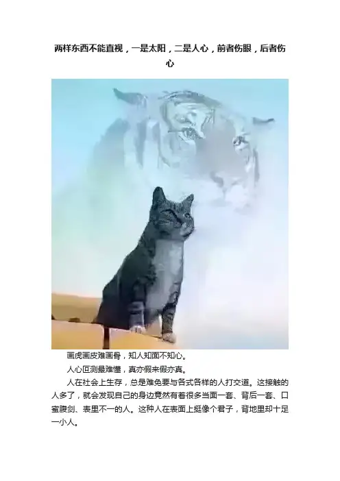 两样东西不能直视，一是太阳，二是人心，前者伤眼，后者伤心