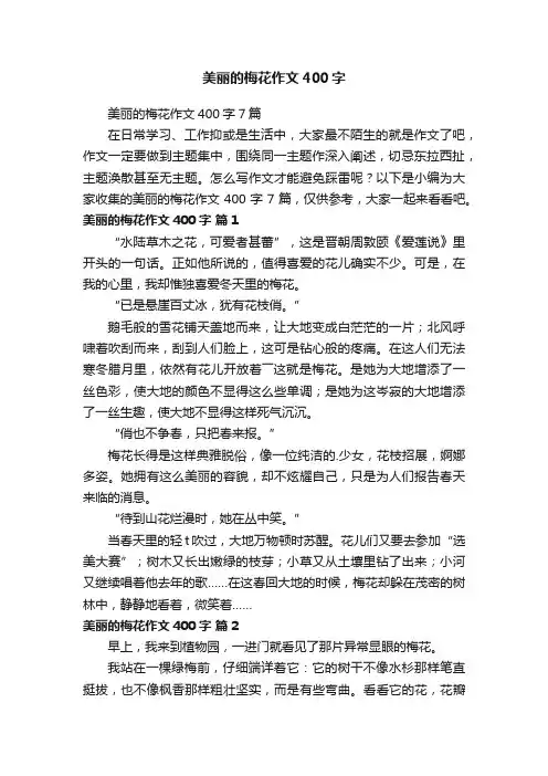 美丽的梅花作文400字7篇